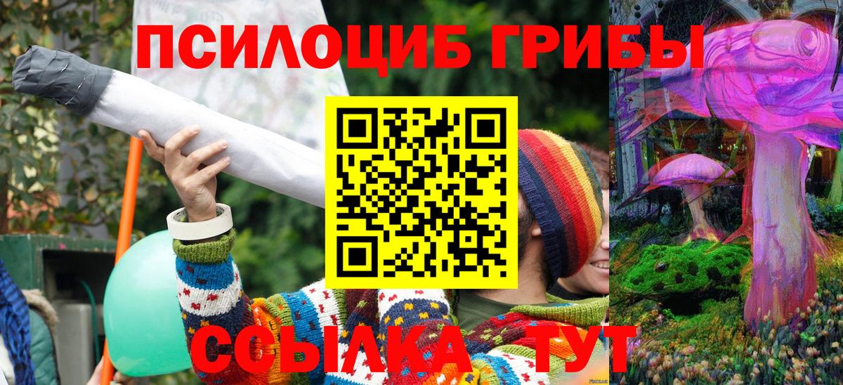 Ржев  Галлюциногенные грибы мухоморы  Вход с VPN 