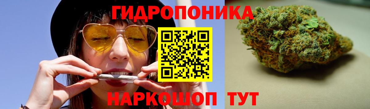 Шишки марихуана семена  Бошки Шишки сатива  МАРИХУАНА Amnesia  Ржев  Вход с VPN  Канабис Bruce Banner 